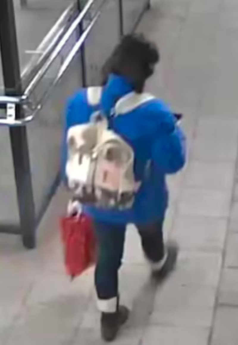 Småbarnsmamma försvunnen – polisen går ut med bild Småbarnsmamma försvunnen – polisen går ut med bild